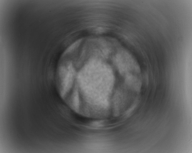 X0000088730178200706282131