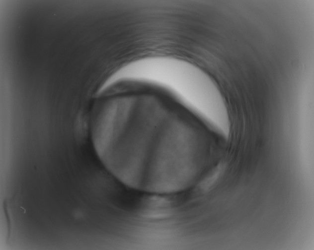 X0000088730180200706282131