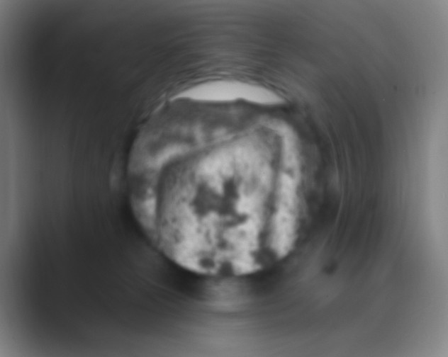 X0000088730181200706282131