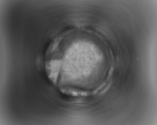 X0000088730182200706282131