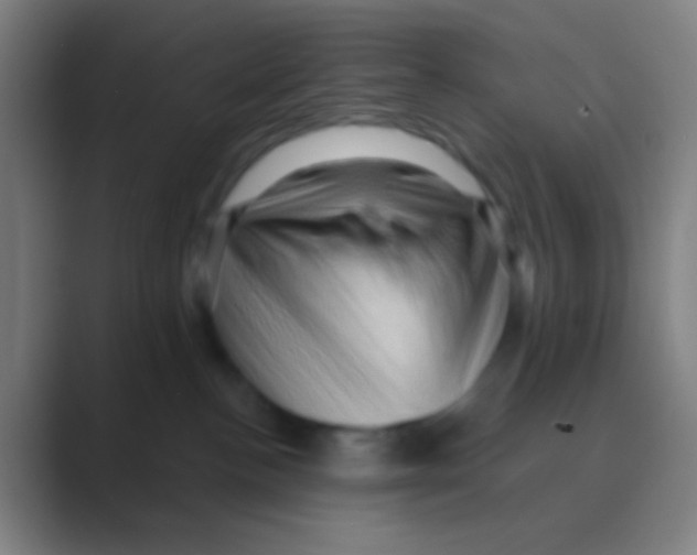 X0000088730188200706282131