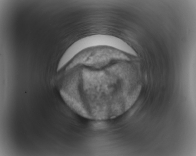 X0000088730189200706282131