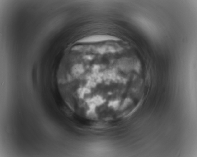 X0000088730191200706282131