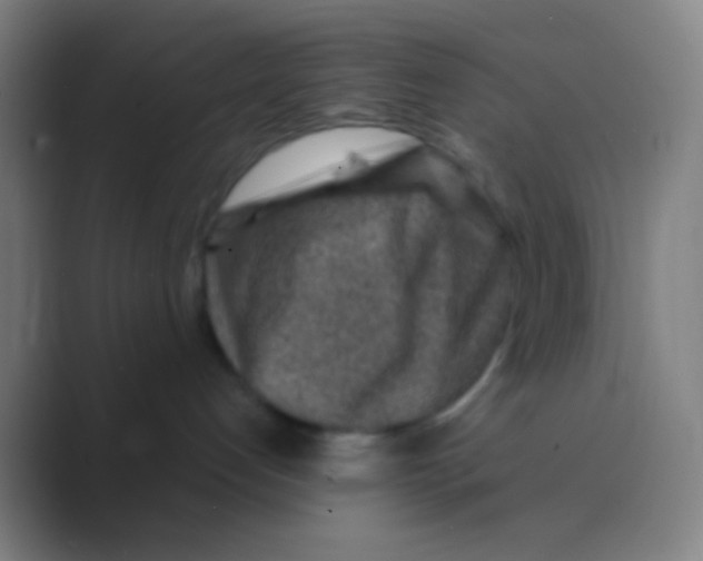 X0000088730192200706282131