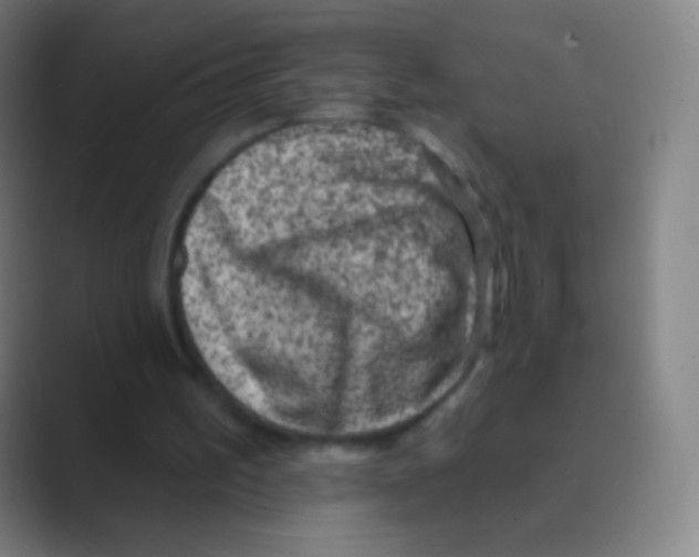 X0000088730195200706282131