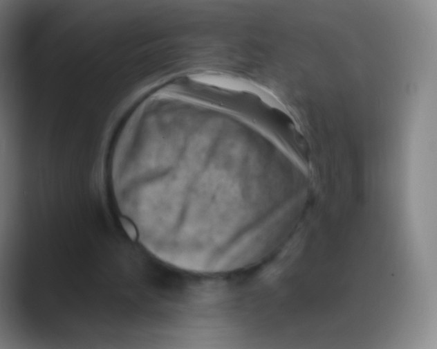 X0000088730196200706282131