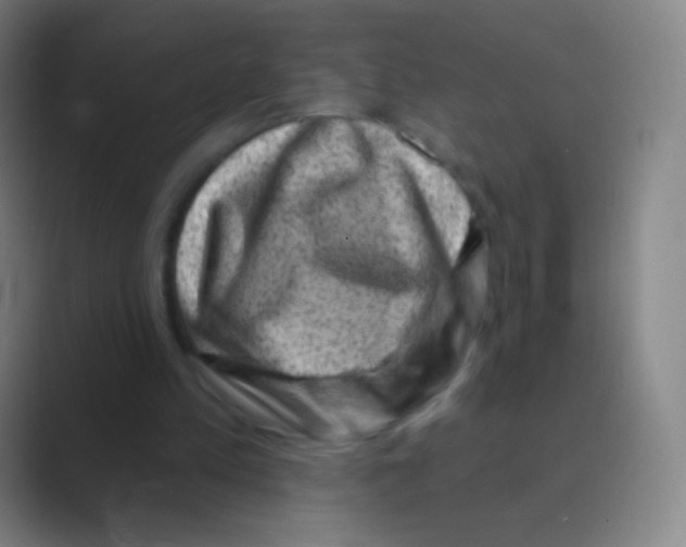 X0000088730197200706282131