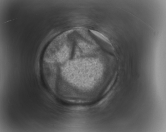 X0000088730198200706282131