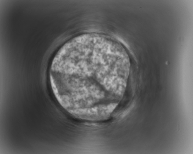 X0000088730199200706282131