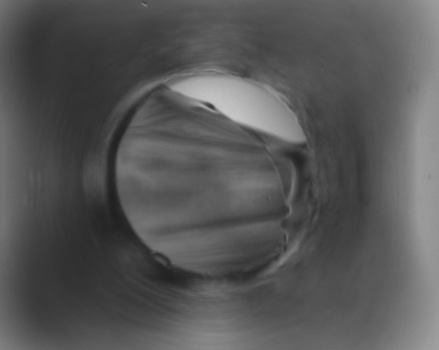 X0000088730200200706282131