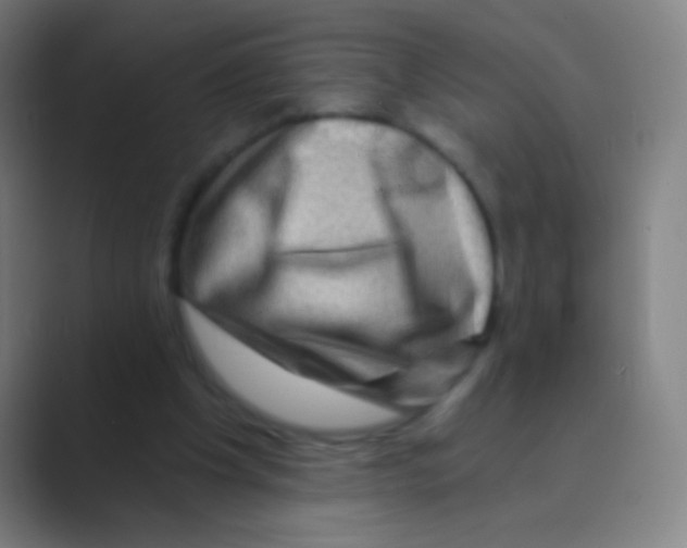 X0000088730201200706282131