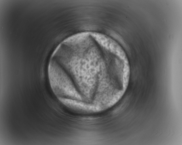 X0000088730203200706282131