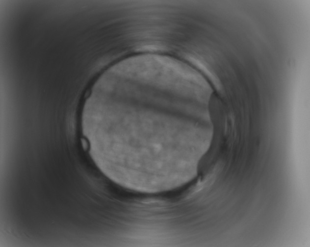 X0000088730204200706282131