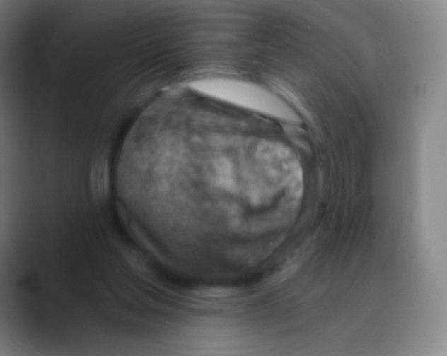 X0000088730205200706282131