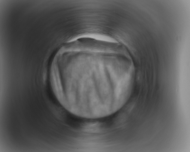 X0000088730206200706282131