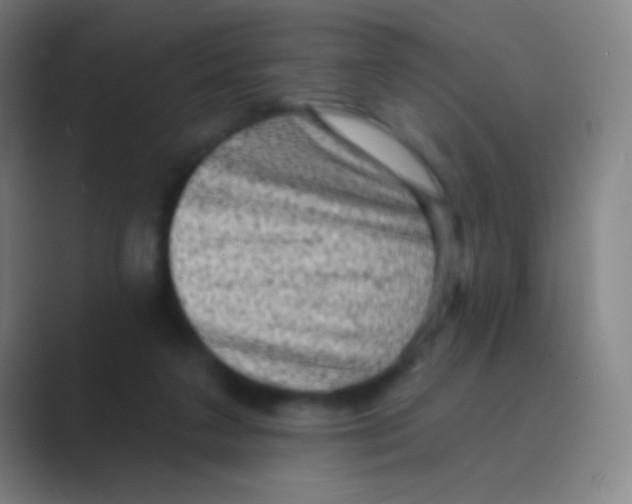 X0000088730211200706282131