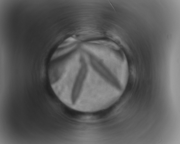 X0000088730212200706282130