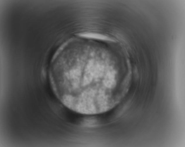 X0000088730214200706282130