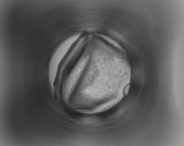 X0000088730215200706282130