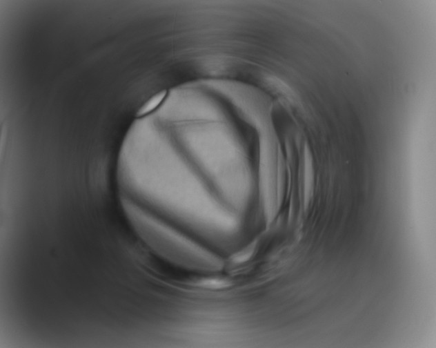 X0000088730217200706282130