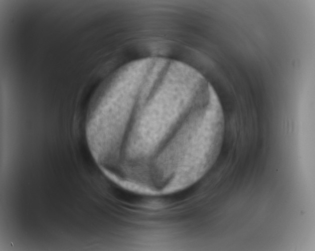 X0000088730218200706282130