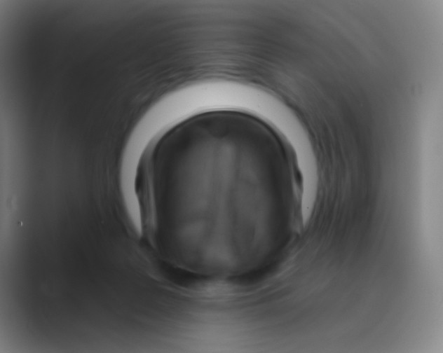 X0000088730219200706282130