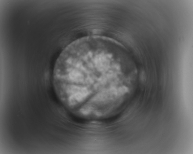 X0000088730222200706282130