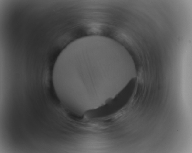 X0000088730223200706282130