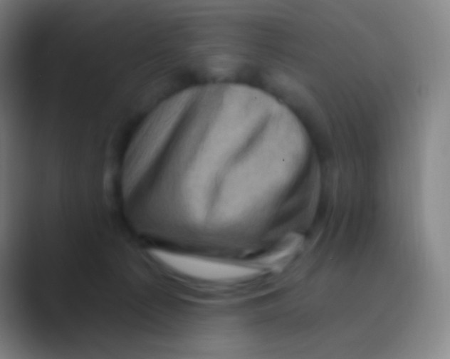 X0000088730225200706282130