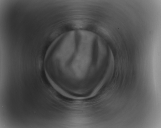 X0000088730227200706282130