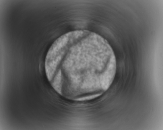 X0000088730228200706282130