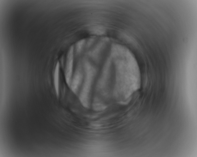 X0000088730229200706282130