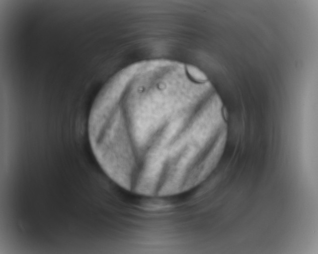 X0000088730230200706282130