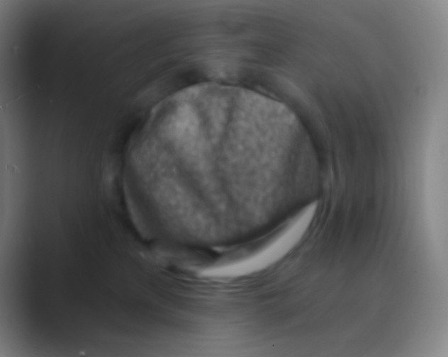 X0000088730233200706282130