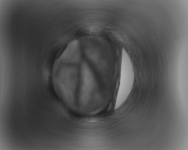 X0000088730235200706282130