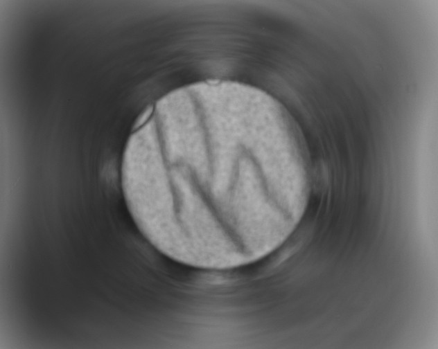 X0000088730238200706282130