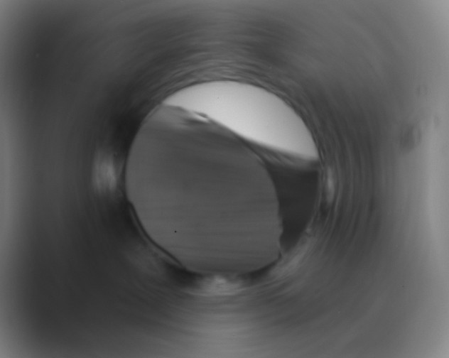 X0000088730239200706282130