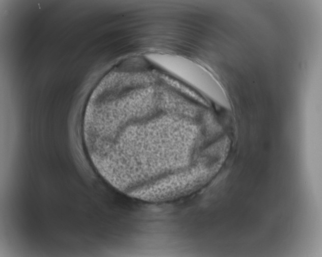 X0000088730241200706282129