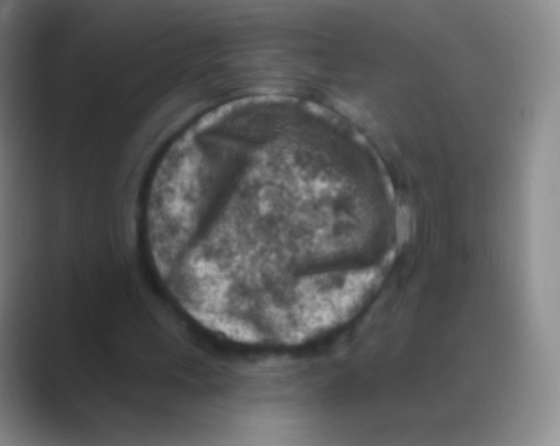 X0000088730243200706282129