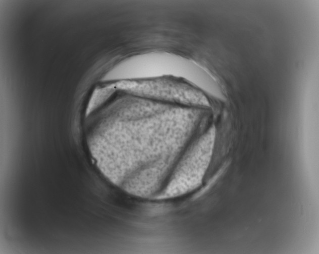 X0000088730245200706282129