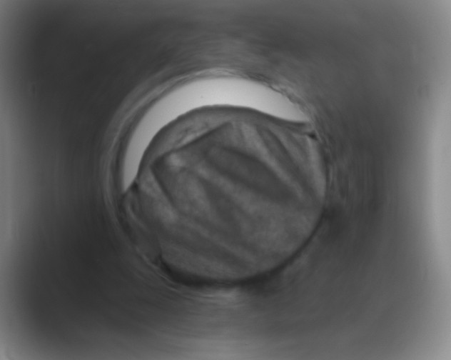 X0000088730247200706282129