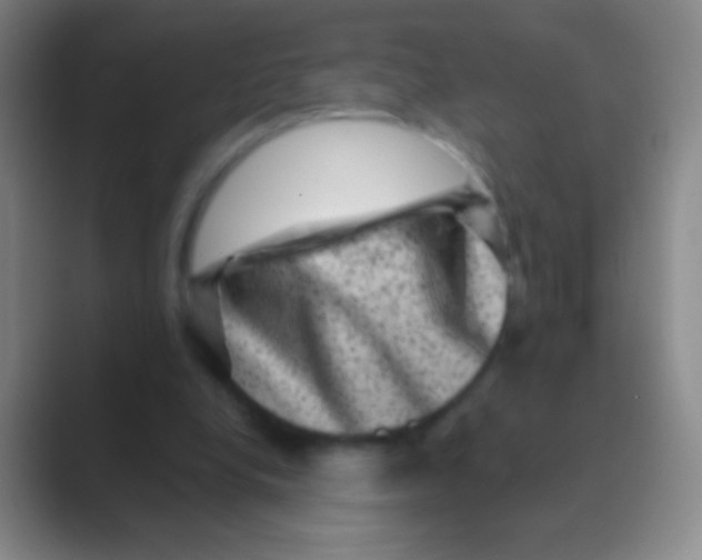 X0000088730248200706282129