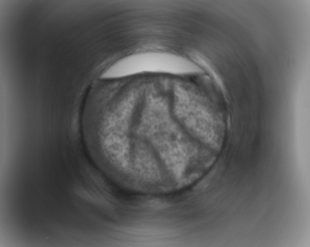 X0000088730249200706282129