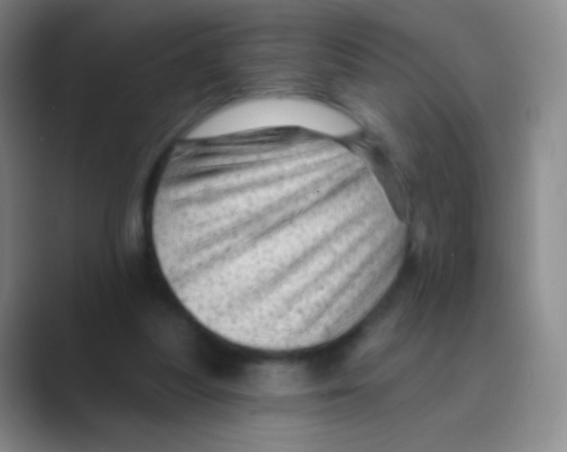 X0000088730251200706282129