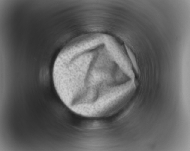 X0000088730254200706282129