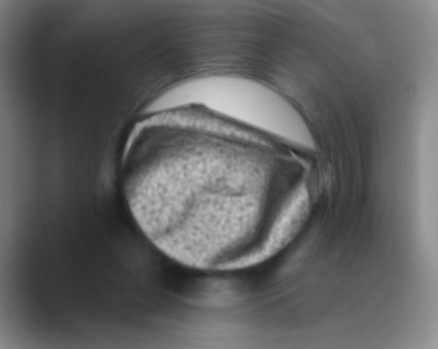 X0000088730255200706282130