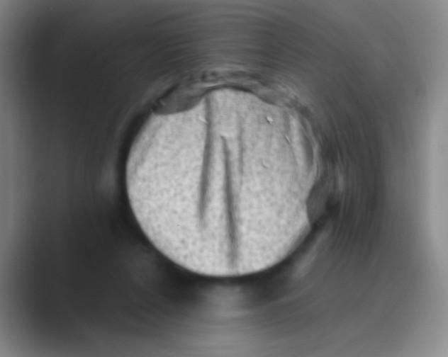 X0000088730256200706282130