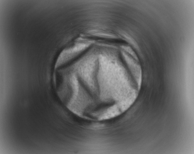 X0000088730257200706282130