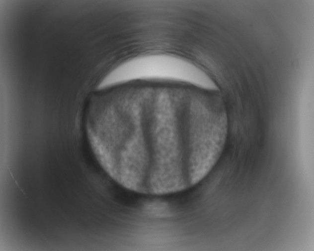 X0000088730258200706282130