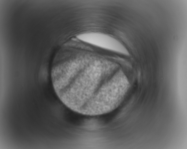 X0000088730259200706282130